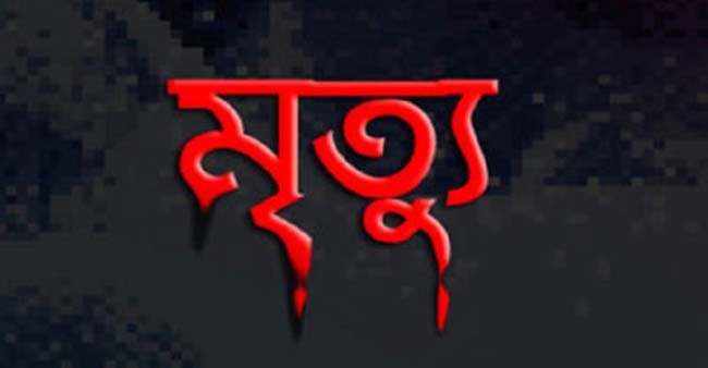 দিরাইয়ে গাছ থেকে পড়ে ১ জনের মৃত্যু