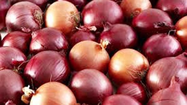 দীর্ঘ দিন পর ভারত থেকে পেঁয়াজ এল বাংলাদেশে