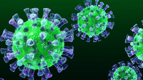 দেশে ২৪ ঘন্টায় করোনায় আরও মৃত্যু ৫৩ জনের, শনাক্ত ৩ হাজার ৮৬২ জন।