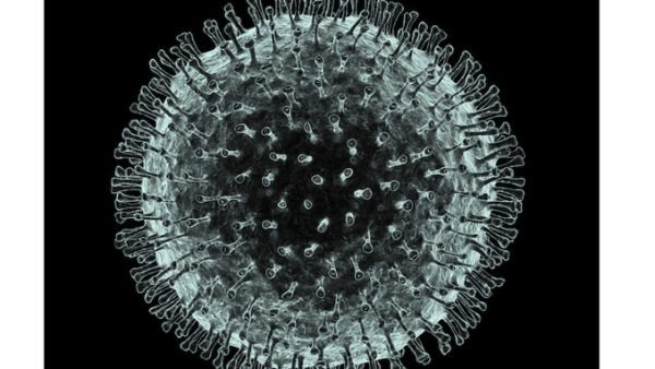 দেশে ২৪ ঘন্টায় করোনায় মৃত্যু ৪৩ জনের, শনাক্ত ৪ হাজার ৮ জন।