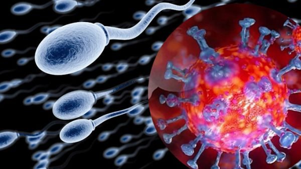 দেশে ২৪ ঘন্টায় আরও ৩৫ জনের মৃত্যু,সনাক্ত ২হাজার ৪২৩