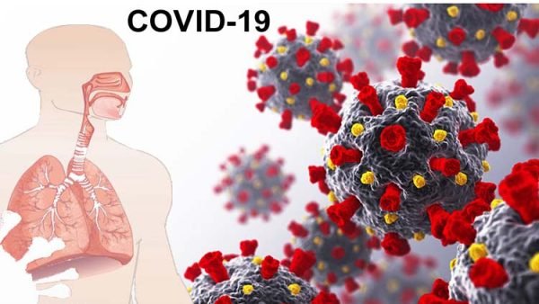 বিভাগের মধ্যে সিলেট জেলায় আক্রান্ত ও মৃতের সংখ্যা সর্বোচ্চ রেকর্ড