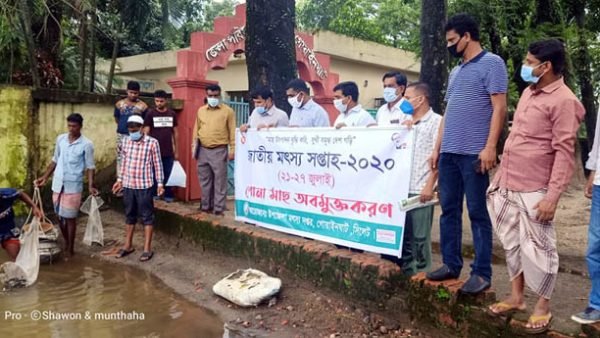 গোয়াইনঘাটে জাতীয় মৎস্য সপ্তাহ’র উদ্বোধন পোনা মাছ অবমুক্ত