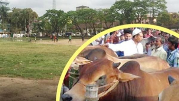 আলিয়া মাদ্রাসা মাঠে হচ্ছে না কোরবানির পশুর হাট।