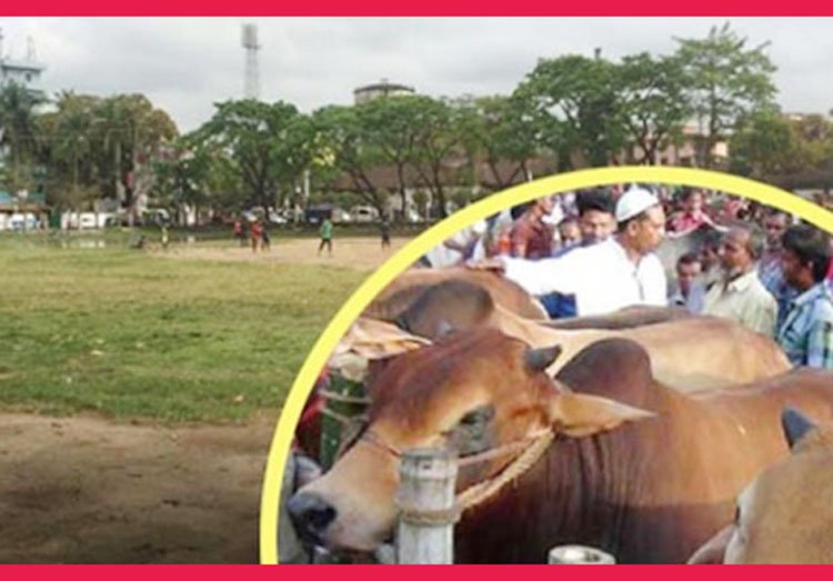 আলিয়া মাদ্রাসা মাঠে হচ্ছে না কোরবানির পশুর হাট।