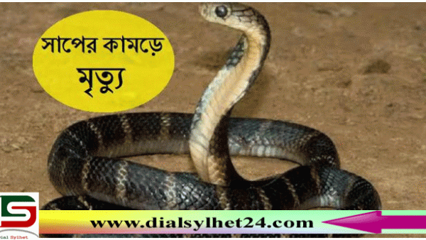 সিলেটে সাপের কামড়ে শিশুর মৃত্যু