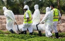 বিশ্বে করোনা আক্রান্ত ২ কোটি ৩৩ লাখ ছাড়ালো