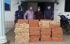 জগন্নাথপুরে ভারতীয় নাসির বিড়িসহ আটক দুই