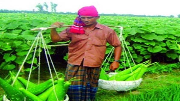 সিলেটের চারটিসহ দেশের ৬৪ জেলায় ‘কৃষক বাজার’ স্থাপন করতে যাচ্ছে সরকার