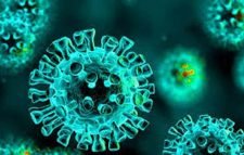 করোনায় সিলেটে ১০০ জন সুস্থের দিনে দুজনের মৃতের সংখ্যা ২