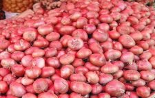 জাতীয় রফতানি বন্ধ করে ৪০০ ট্রাক পিয়াজ ফিরিয়ে নিয়েছে ভারত