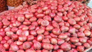 জাতীয় রফতানি বন্ধ করে ৪০০ ট্রাক পিয়াজ ফিরিয়ে নিয়েছে ভারত