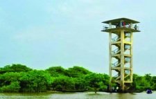 দুর্ঘটনা এড়াতে বন্ধ রাতারগুল ওয়াচ টাওয়ার