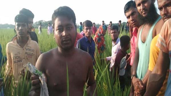 মায়ের ৪ টুকরো লাশ উদ্ধার, ছেলে আটক