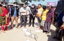 হবিগঞ্জে অতিথি পাখির আগমনে তৎপর শিকারীরা, আটক ৪