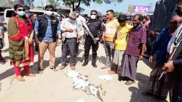 হবিগঞ্জে অতিথি পাখির আগমনে তৎপর শিকারীরা, আটক ৪