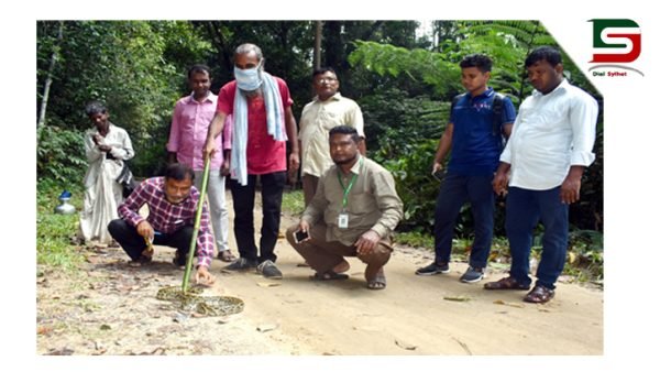 চিকিৎসকের বাসায় উদ্ধার হওয়া অজগর খাদিমনগর জাতীয় উদ্যানে অবমুক্ত