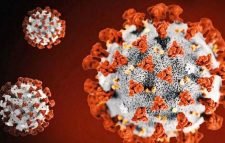 সিলেটে র‌্যাপিড অ্যান্টিজেন কিট দিয়ে পরীক্ষা শুরু