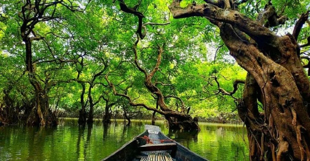 রাতারগুল ভ্রমণে সরকারকে ফি প্রদানের প্রজ্ঞাপন জারি