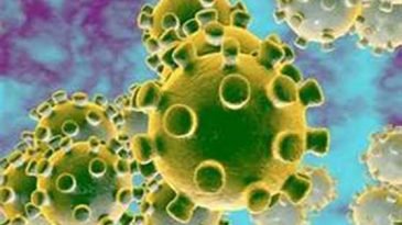 দেশে হঠাৎ বাড়ল করোনা আক্রান্ত, কমেছে মৃত্যু