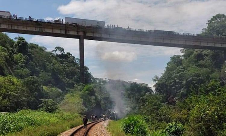 ব্রাজিলে সেতু থেকে বাস পড়ে ১৭ জন নিহত