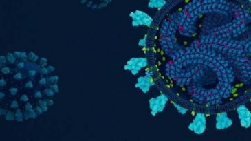 সিলেট জেলায় মৃত্যু ছাড়াল ২০০