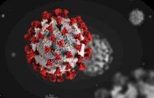 ভয়ঙ্কর হয়ে উঠছে করোনা সরকারের নতুন নির্দেশনা