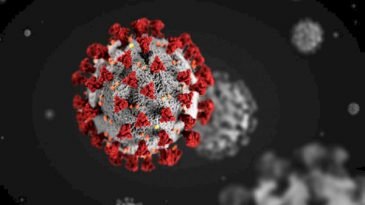 ফ্রান্স-পোল্যান্ডে আবারও লকডাউন