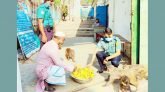 চাষনী পীর মাজারে বানরদের খাবার দিলেন ওসি মাইনুল
