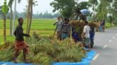 গরম থাকবে আরও দুই দিন, এরপর কালবৈশাখী ঝড়!