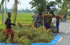 গরম থাকবে আরও দুই দিন, এরপর কালবৈশাখী ঝড়!