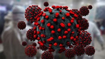 দেশে বাড়ল করোনাভাইরাসে মৃত্যু ও শনাক্ত