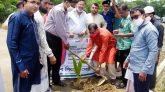 গোয়াইনঘাটের কুরআন মাদ্রাসায় রোটারী ক্লাব অব সিলেট সেন্ট্রালের বৃক্ষ রোপন