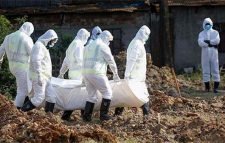 করোনায় আরো ৬১ জনের মৃত্যু