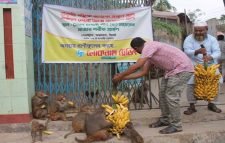 অভুক্ত বানরদের মুখে খাবার তুলে দিলো লোকনাথ ট্রেডিং