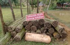 সুনামগঞ্জ গোল কাঠসহ ভারতীয় বিভিন্ন পণ্য আটক