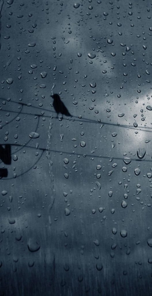 দেশে তিন দিন বৃষ্টির সম্ভাবনা, বাড়বে তাপমাত্রাও