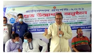 মৃত্যুকে কবুল করব, তবু সিন্ডিকেটের সঙ্গে হাত মেলাব না: সাংসদ মোকাব্বির