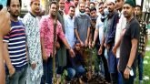 বিশ্ব পরিবেশ দিবসে সিলেট ছাত্রদলের জিয়া ট্রি রোপণ