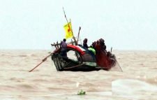 মেঘনায় জেলেদের জালে ধরা পড়ছে ইলিশ