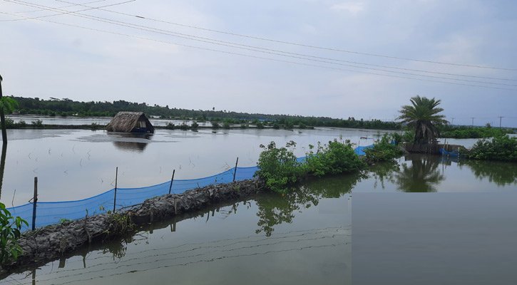 জোয়ারে ভেসে গেছে ঘের, ১১ কোটি টাকার ক্ষয়ক্ষতি