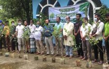 নাজিরবাজারে ইনসাফ ওয়েলফেয়ারের বৃক্ষরোপন ও চারা বিতরণ