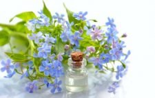 ঘরেই যেভাবে বানাবেন পোকা দমনের সুগন্ধি দাওয়াই