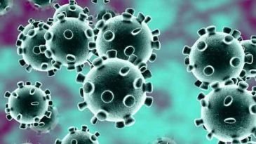 ময়মনসিংহ মেডিকেলে আরও ১৪ জনের মৃত্যু