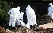 করোনায় আরও ২৩৯ জনের মৃত্যু