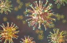 ফেনোফাইব্রেট কোভিড-১৯ সংক্রমণ ৭০ শতাংশ কমিয়ে দিতে পারে