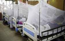 আরও ২২৪ জন নতুন ডেঙ্গু রোগী হাসপাতালে ভর্তি