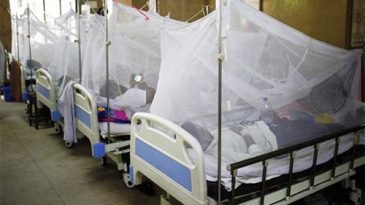 আরও ২২৪ জন নতুন ডেঙ্গু রোগী হাসপাতালে ভর্তি