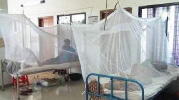 আরও ২২৬ জন নতুন ডেঙ্গু রোগী হাসপাতালে ভর্তি