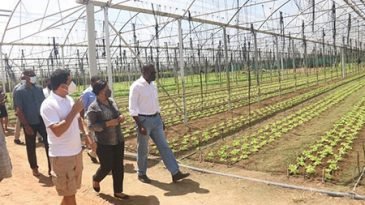 সিসিলি পৌঁছেছেন বাংলাদেশের ১২১ শ্রমিক